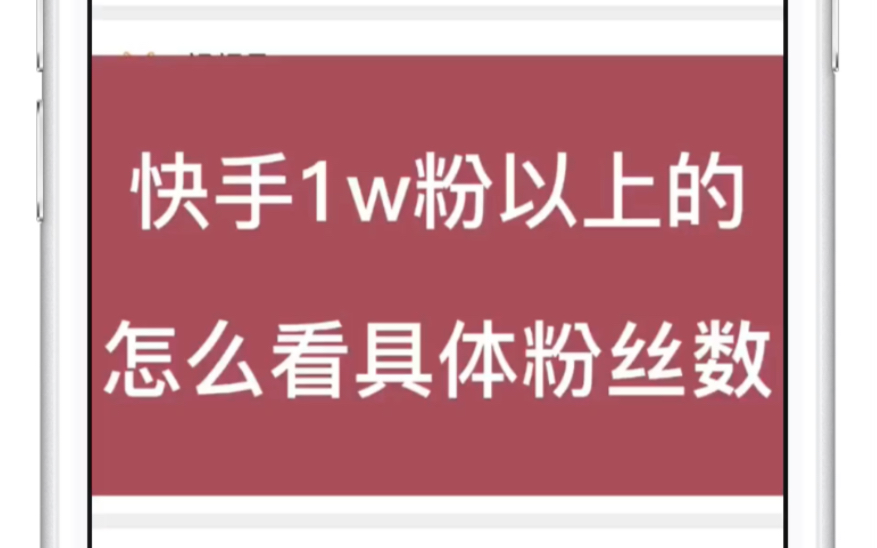 快手粉丝精准数量查询快手怎么查询具体粉丝数量哔哩哔哩bilibili