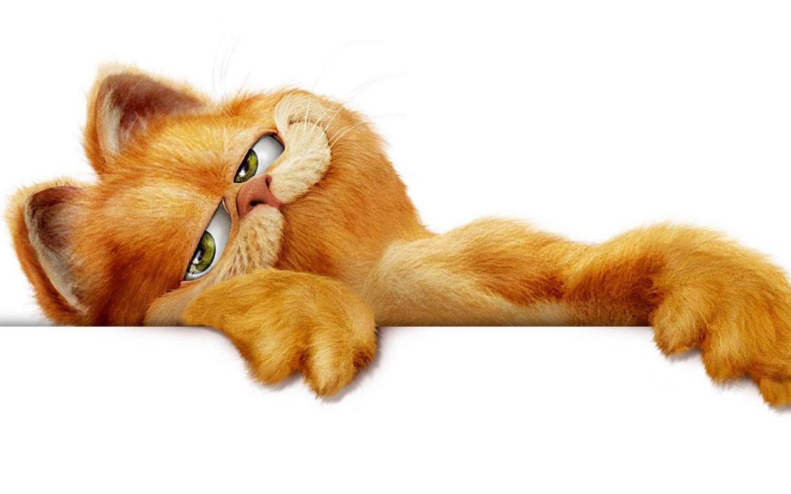 加菲猫爆笑动画这是一只沙雕加菲猫看一遍笑一遍太搞笑了