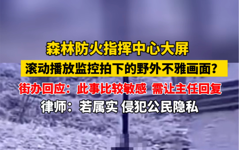 近日 #江苏常熟 森林防火指挥中心大屏滚动播放监控拍下的野外不雅画面?街办回应:此事比较敏感,需让主任回复. #社会百态哔哩哔哩bilibili