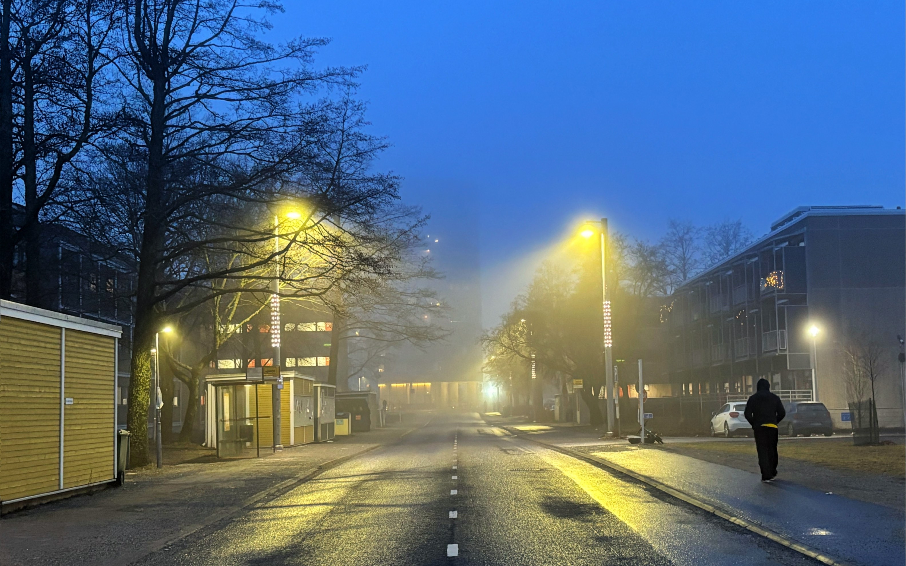 vlog|芬兰留学|项目的百香果布丁蛋糕 结束了一周的实验 终于看到了