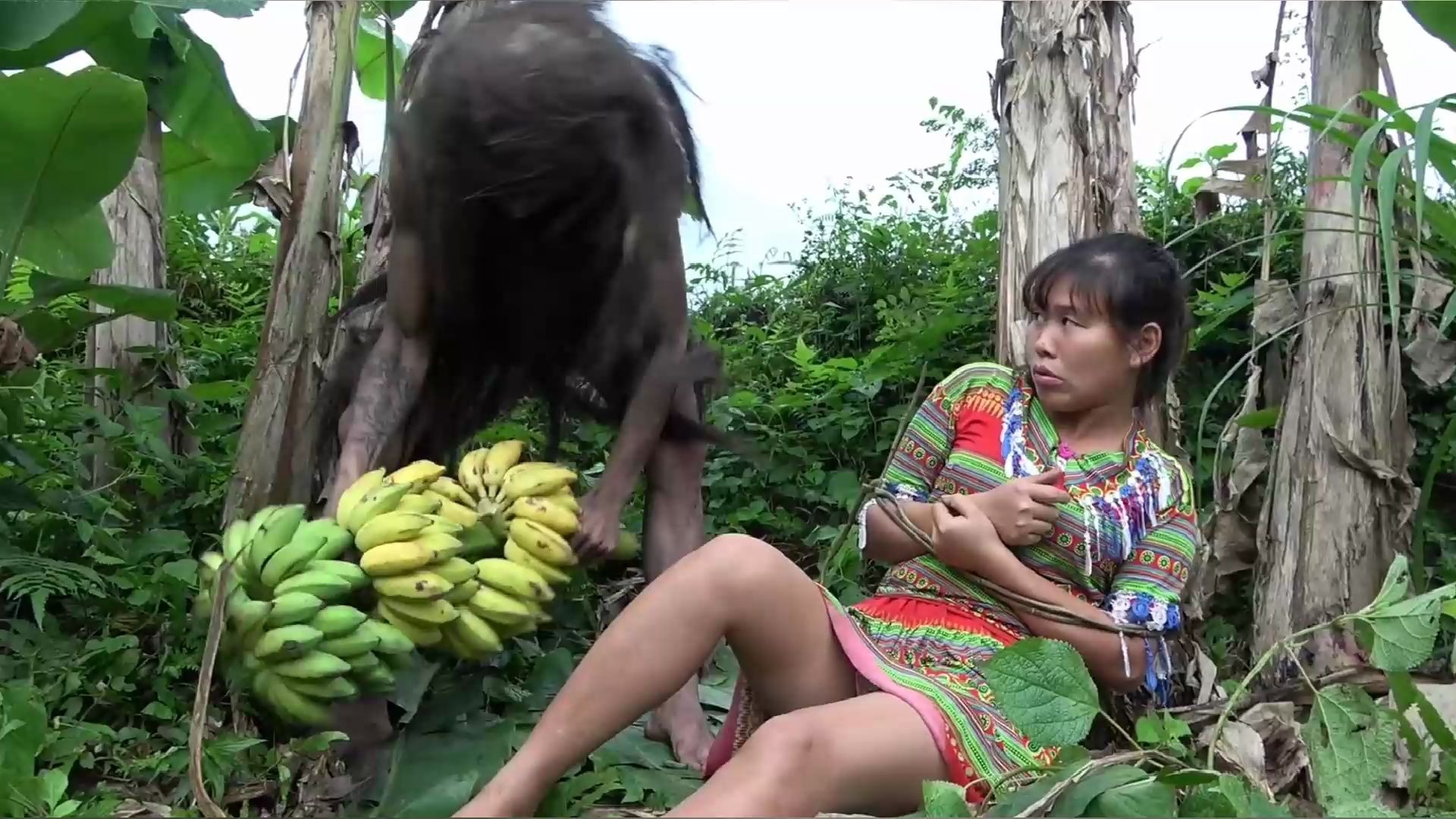 美女种的香蕉野人摘,美女想夺回,野人将她绑香蕉树!