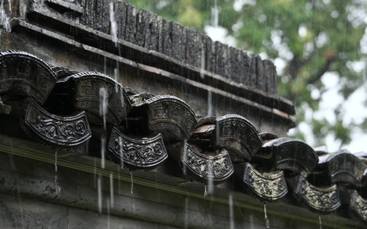 [图]【4K】南京·愚园 | 金陵园林听雨