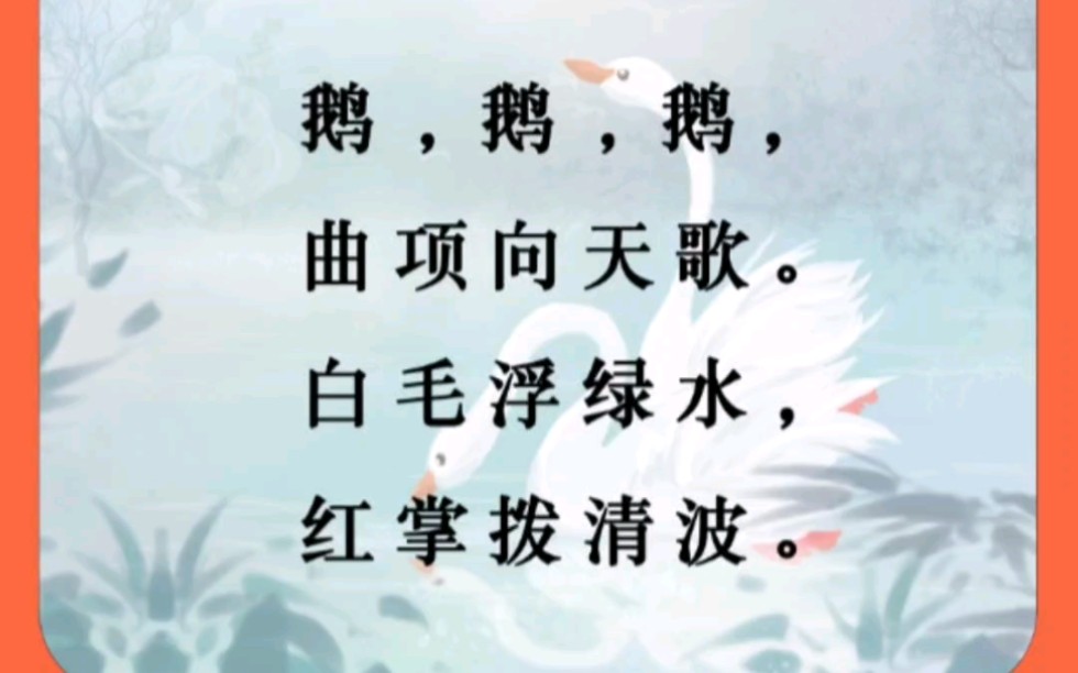 跟小○一起學習古詩詞~朗讀《詠鵝》