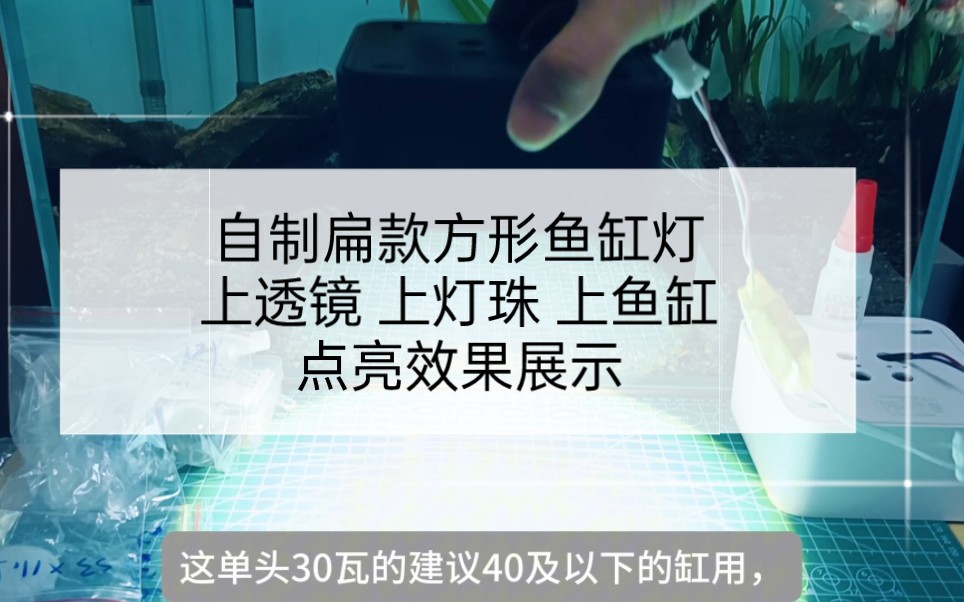 自制扁款方形鱼缸筒灯点亮上缸实测展示,效果非常好.后期还会更新可做60瓦90瓦双头和三头的灯壳,比某语某森的好.哔哩哔哩bilibili