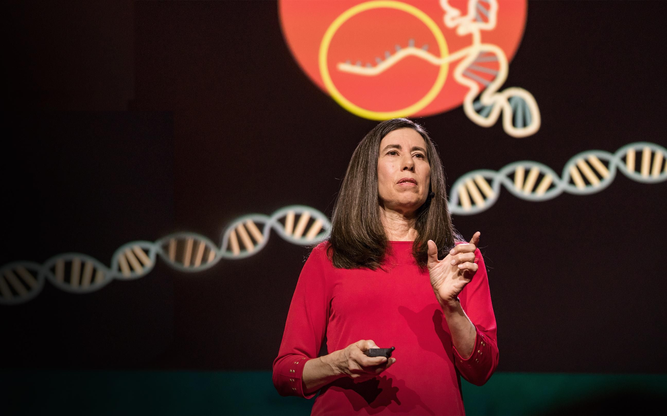 【TED】【中英字幕】关于CRISPR你需要知道这些哔哩哔哩bilibili