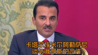 【俄罗斯卫星通讯社】卡塔尔埃米尔阿勒萨尼谈与俄罗斯的合作
