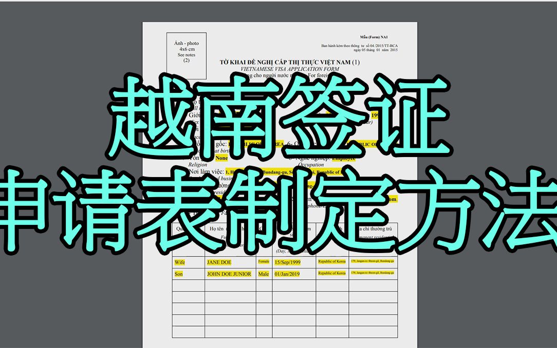 【中文字幕】越南签证申请表制定方法(旅游签证,商务签证)哔哩哔哩bilibili