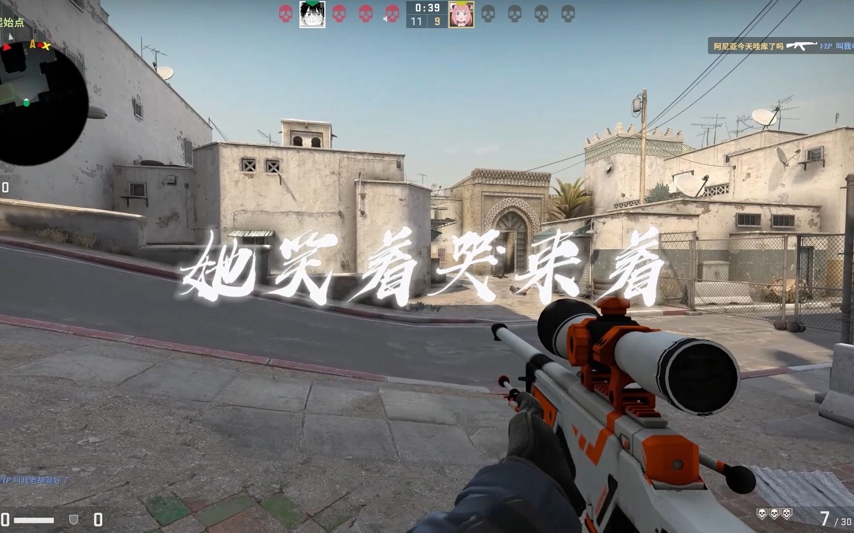 [图]CSGO“奈河桥上影成双”