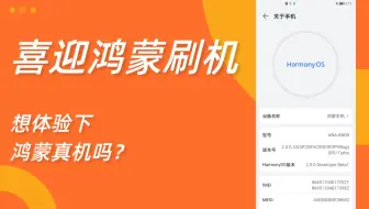 【全球首款华为手机已经升级到鸿蒙了】用颤抖的小手握住手机，开始刷鸿蒙了！完美的体验！