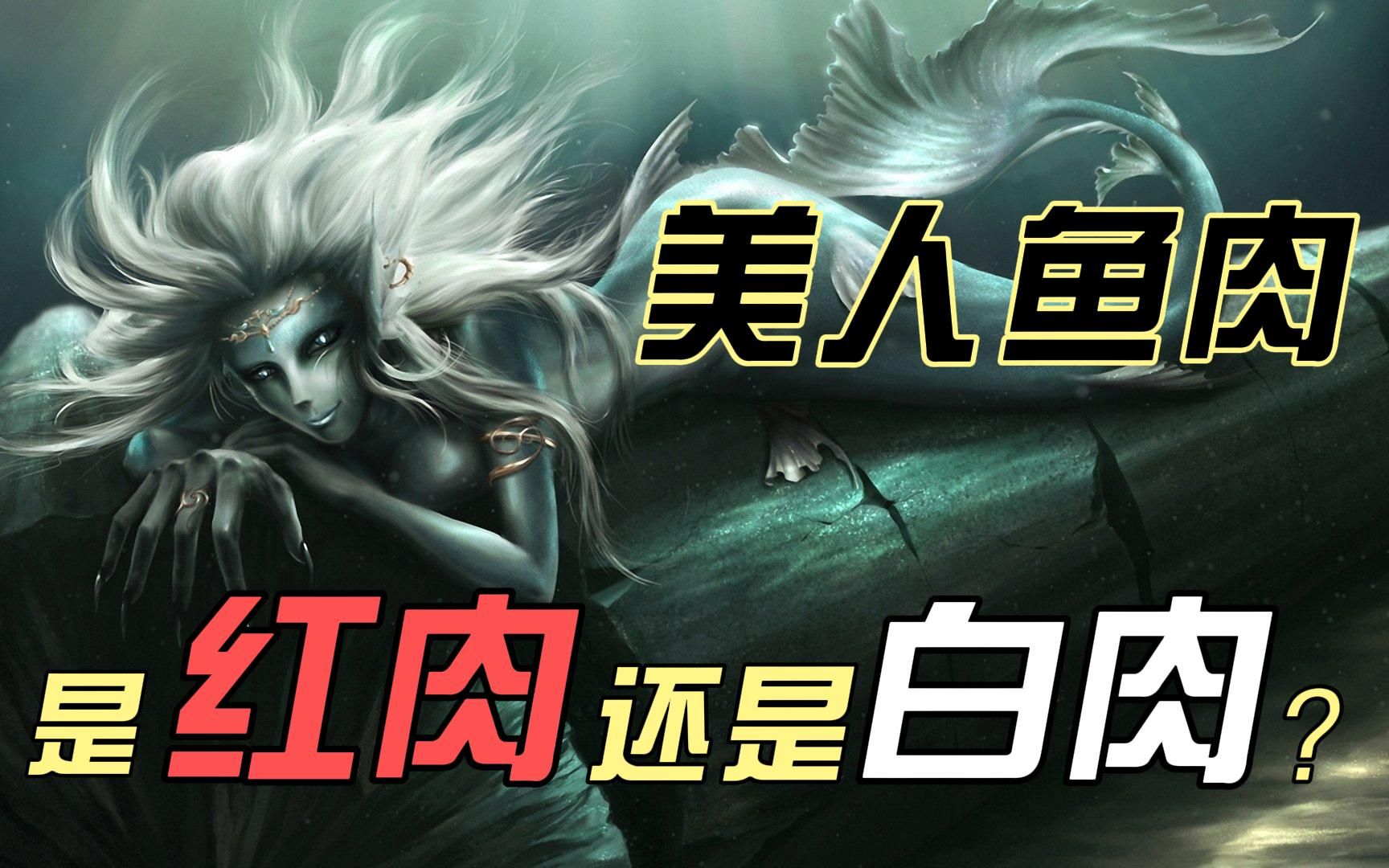 美人鱼肉是红肉还是白肉