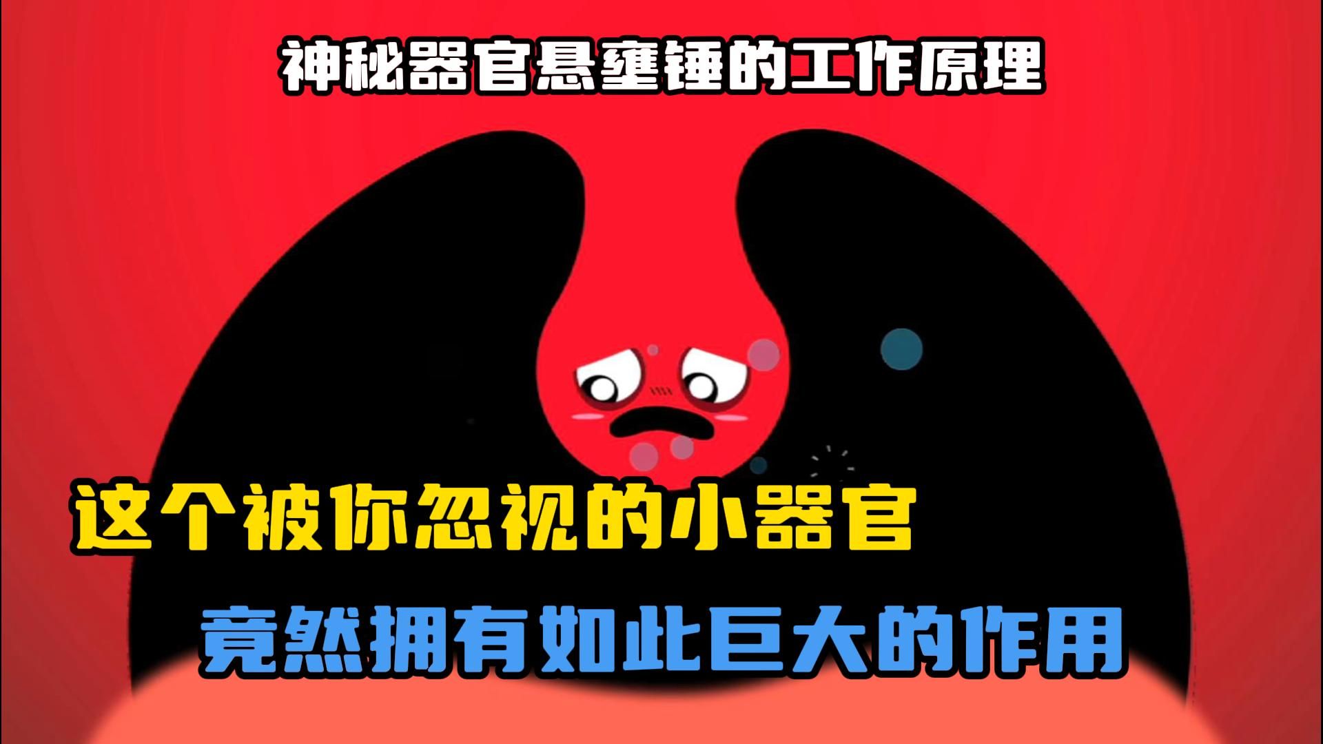 这个被你忽视的小器官(悬壅锤),竟然拥有如此巨大的作用哔哩哔哩bilibili