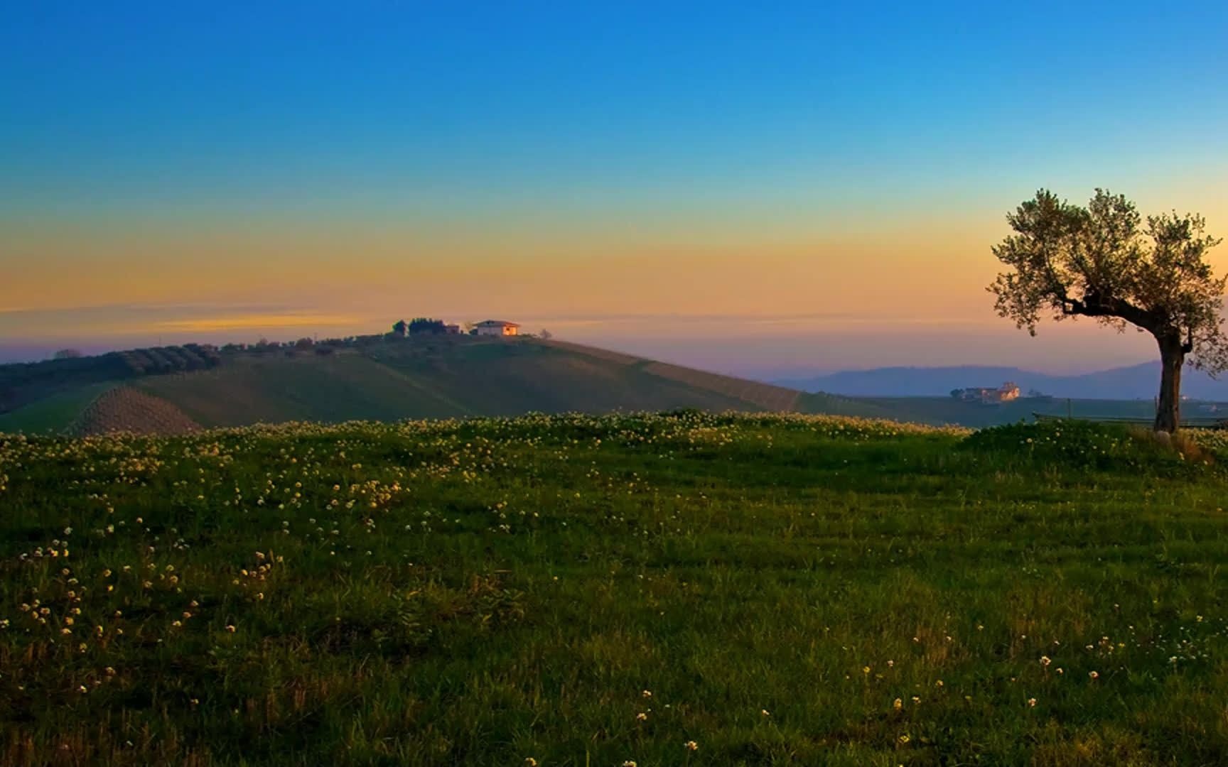 全国青少年机器人技术等级考试(三级)