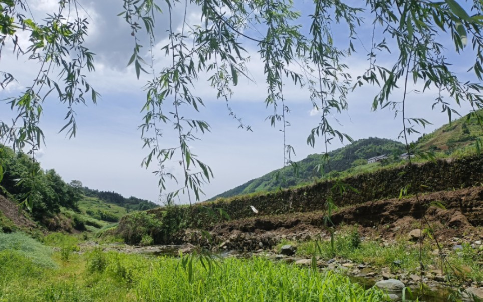 [图]【白噪】山涧小憩，流水鸣鸟夏日～