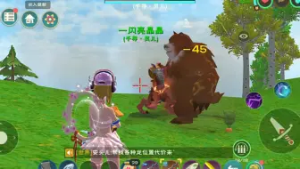 创造与魔法：把龙血拳皇升到55级