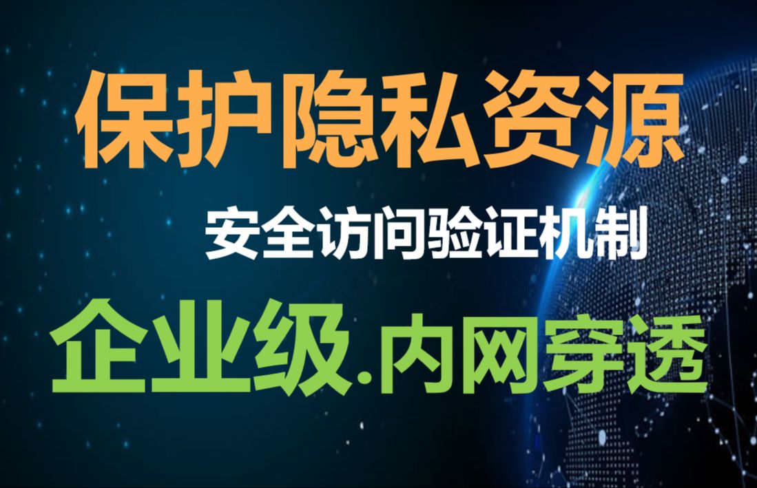 【硬核】安全访问web应用,神卓互联内网穿透,网页类验证功能,保护隐私资源哔哩哔哩bilibili