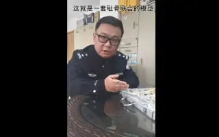 法医秦明教你如何用耻骨联合面判断年龄