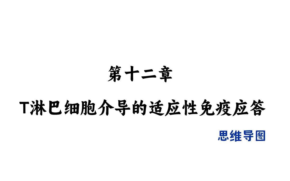 免疫学 | 第十二章 T细胞介导的适应性免疫应答 | 思维导图哔哩哔哩bilibili