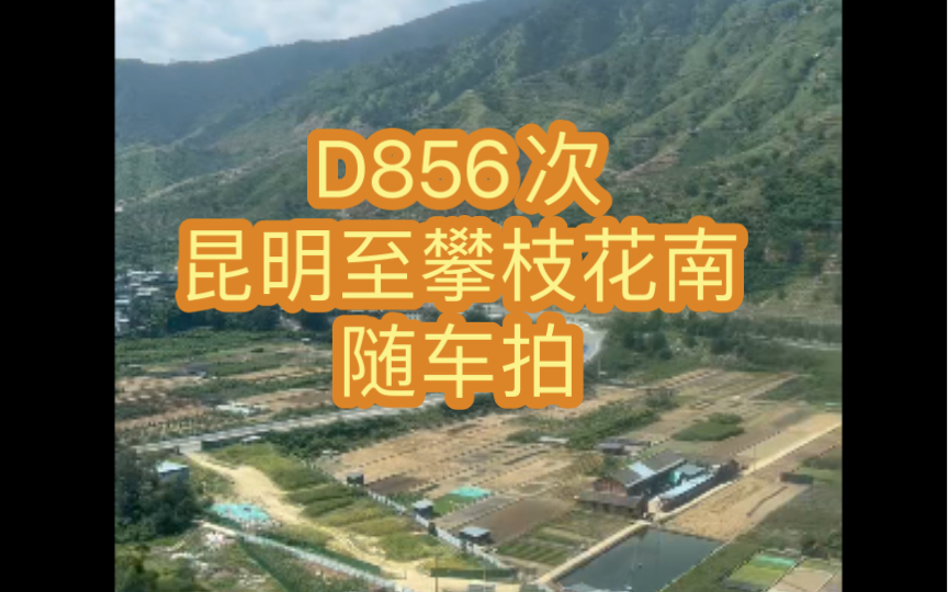 D856次列车昆明至攀枝花南区段随车拍哔哩哔哩bilibili