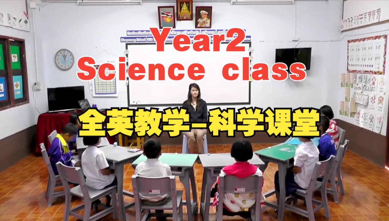 【价值5万+的全英Year2【科学课堂】】和「外国一年级小朋友」一起学习科学哔哩哔哩bilibili