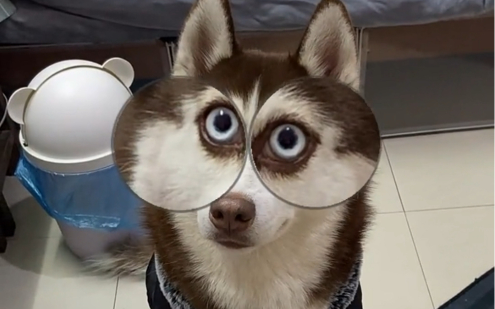 瞧瞧这睿智的眼神