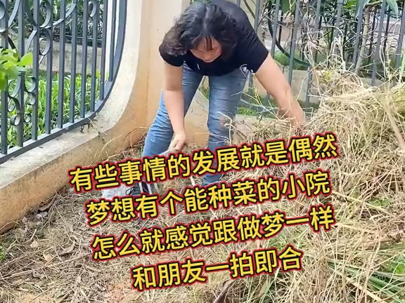 [图]朋友来家里玩，我们俩一拍即合去改造她的后花园，不是去种花，而是准备种菜，这样的花园种菜是不是有点可惜了