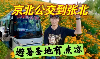 Download Video: 京北坐公交车一路向北，到达张家口张北县。避暑胜地果然真美