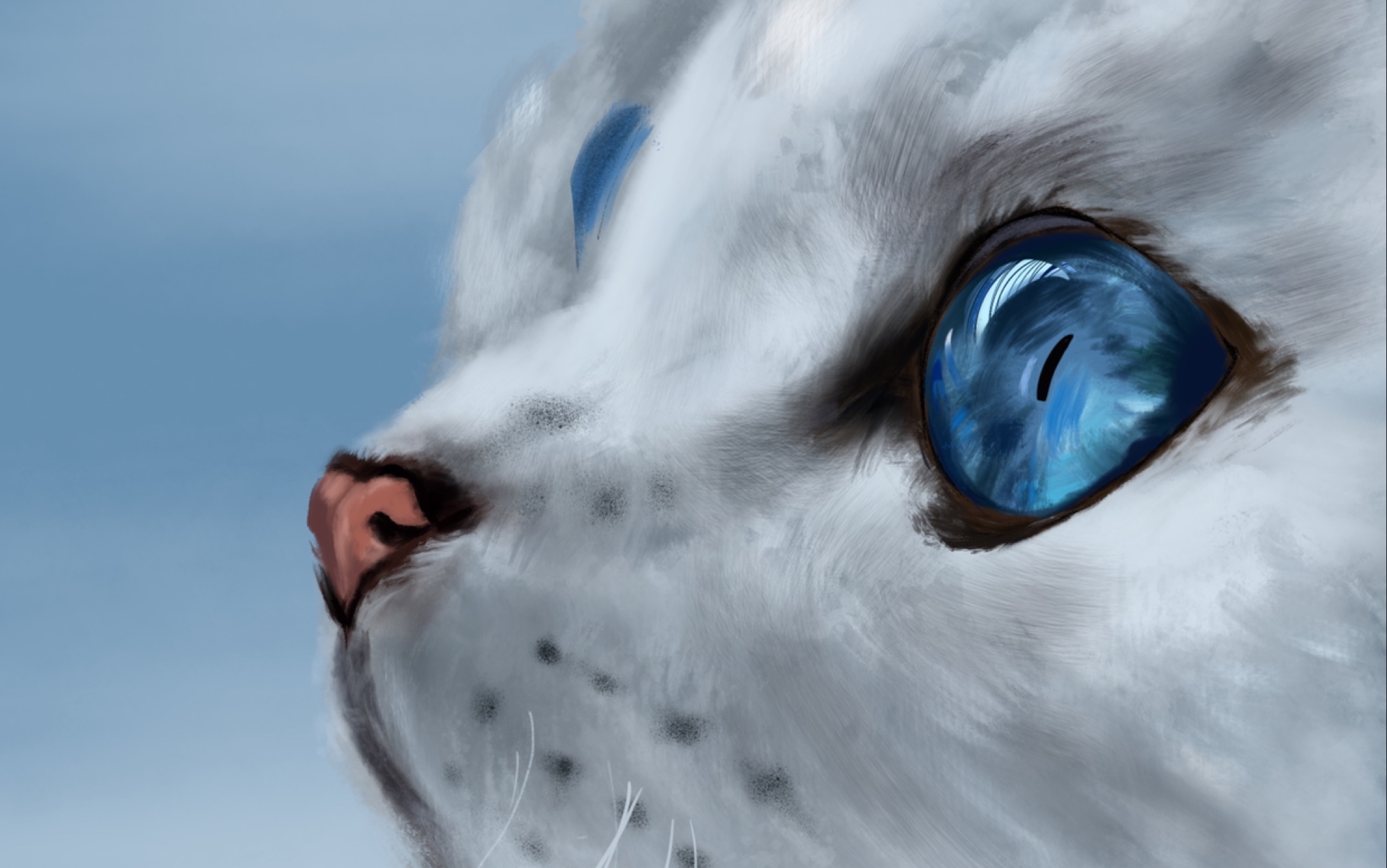 「ipad pro procreata」喵喵酱猫咪