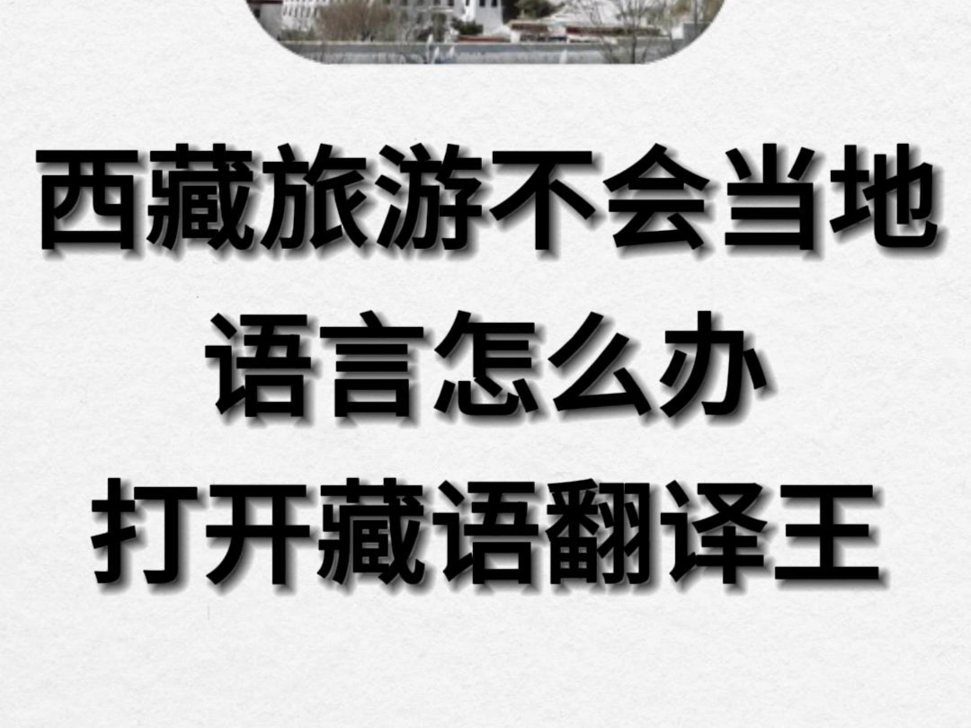 手机打开藏语翻译王! #软件 #手机 #藏语 #藏语翻译 #手机翻译