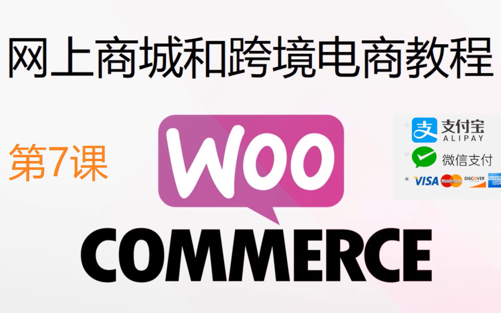 第7课:最新WordPress和WooCommerce商城的设置教程, 接收支付宝AliPay, 微信支付WeChat Pay, 信用卡Credit Cards哔哩哔哩bilibili