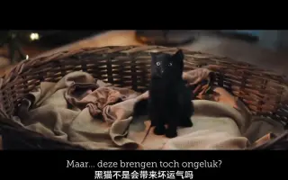 开眼-精品短视频-看完这则广告，我觉得养猫其实挺没劲