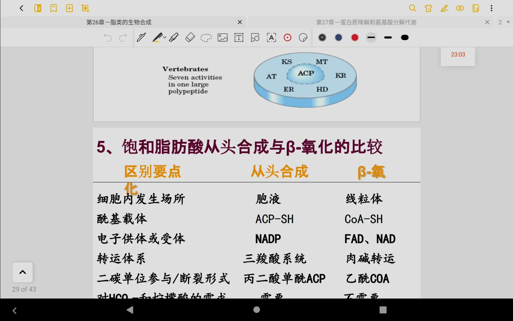 【生物化学】12.6(1)脂类的生物合成哔哩哔哩bilibili