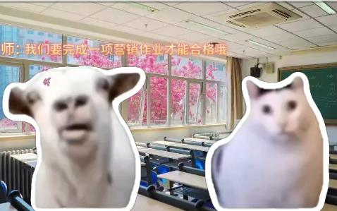 【猫meme】苏州城市学院介绍哔哩哔哩bilibili