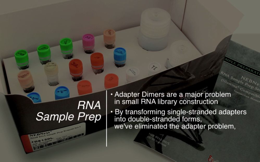 [图]二代测序 Small RNA 文库制备的突破性方法