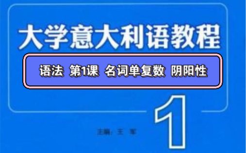 跟我学意大利语11【语法 第1课 名词单复数 阴阳性】哔哩哔哩bilibili