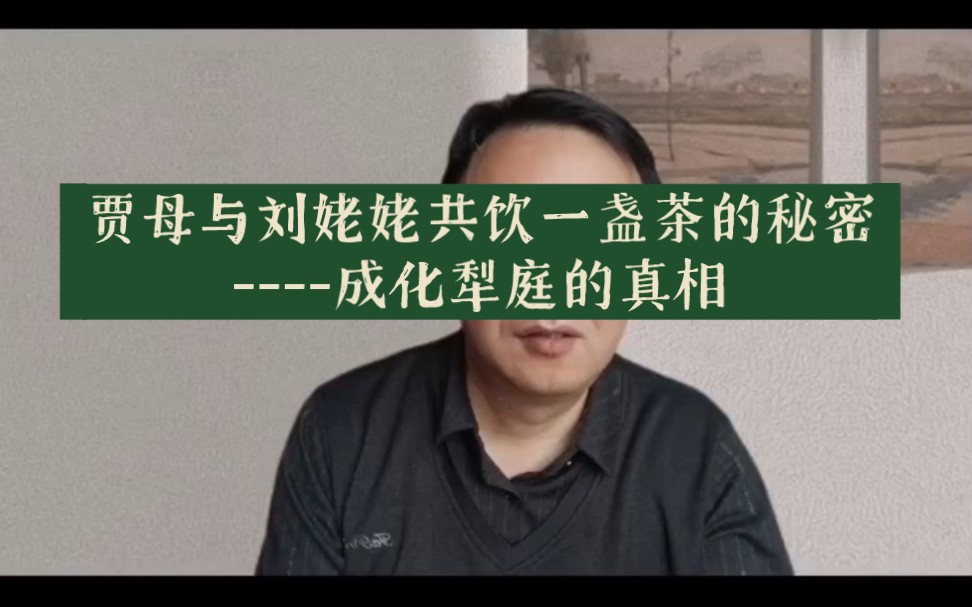 贾母与刘姥姥共饮一盏茶的秘密:成化犁庭的真相哔哩哔哩bilibili