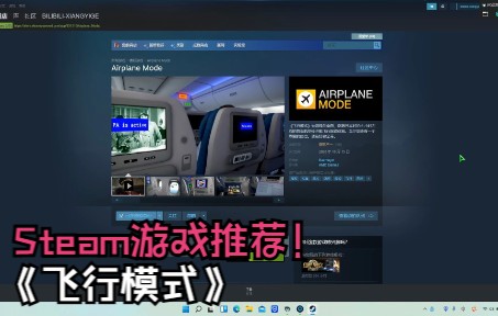 【Steam游戏推荐】《飞行模式Airplone Mode》,一款非常真实的坐飞机模拟器等你来看!!!实况