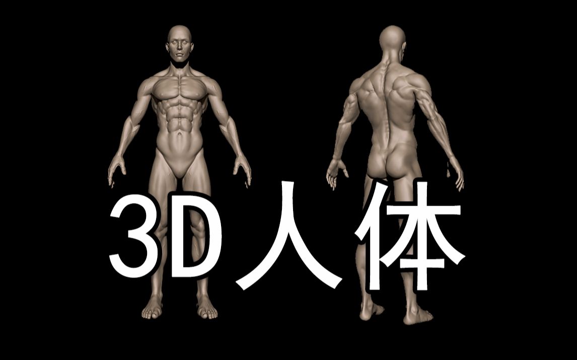 【3D人体美术】居然免费分享了,赶紧偷偷的收藏起来哔哩哔哩bilibili