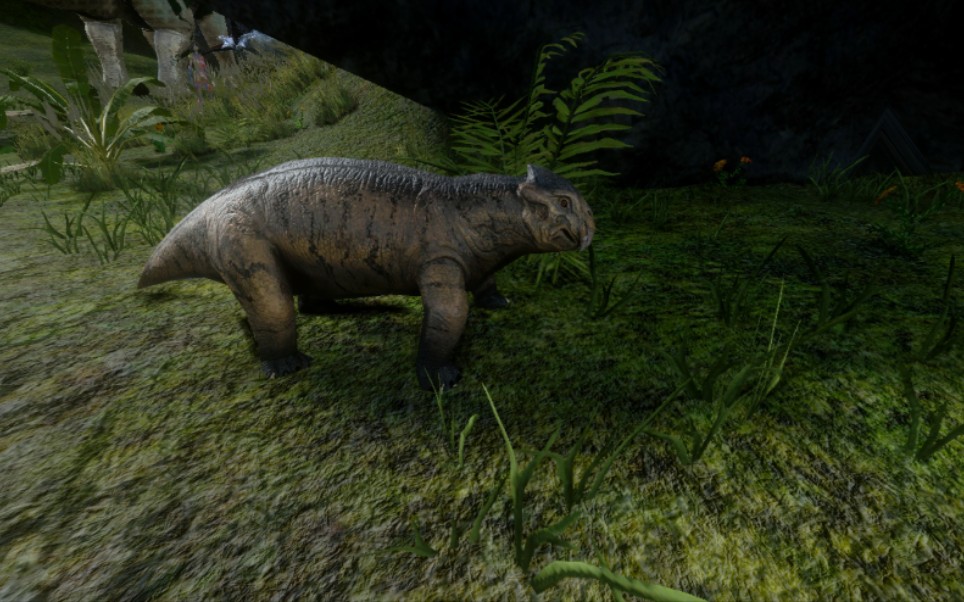 经验宝宝水龙兽