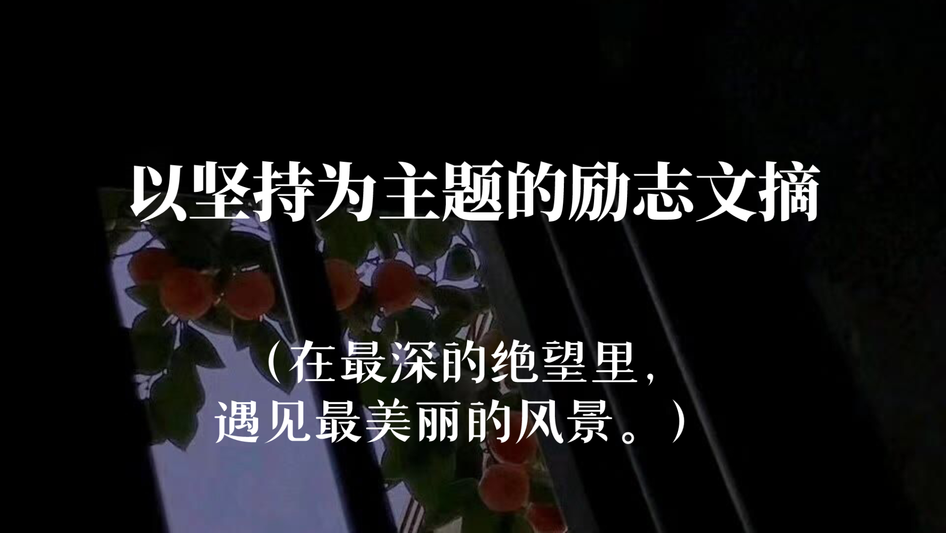 “一个能够升起月亮的身体,必然驮住了无数次日落.”‖那些以坚持为主题的励志文摘哔哩哔哩bilibili