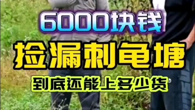 捡漏刺龟塘,虽然塘主软磨硬泡加价5000,最终挡不住刺龟塘货多,赚翻了…!哔哩哔哩bilibili