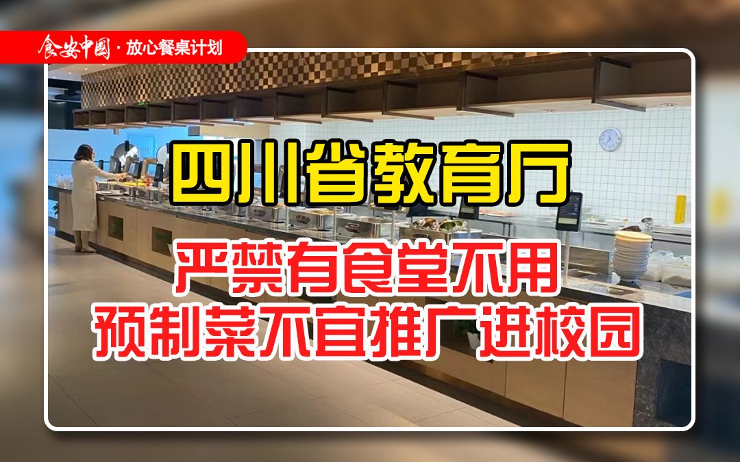 四川省教育厅:严禁有食堂不用,预制菜不宜推广进校园哔哩哔哩bilibili