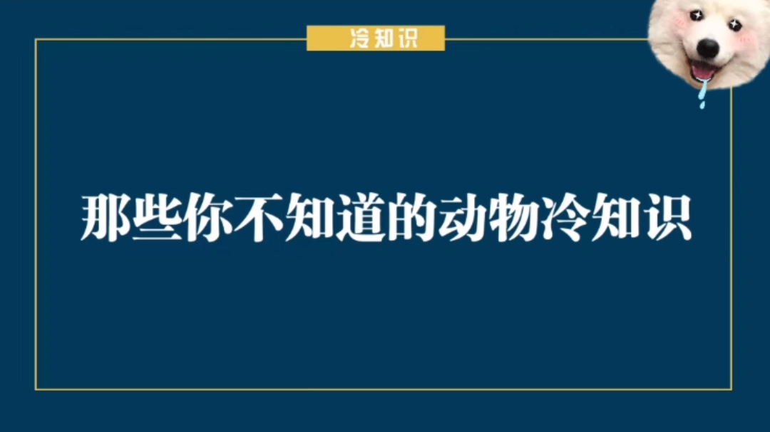 断更是不可能的,只要你够耐心就能等到我.渣男语录哈哈哈哔哩哔哩bilibili