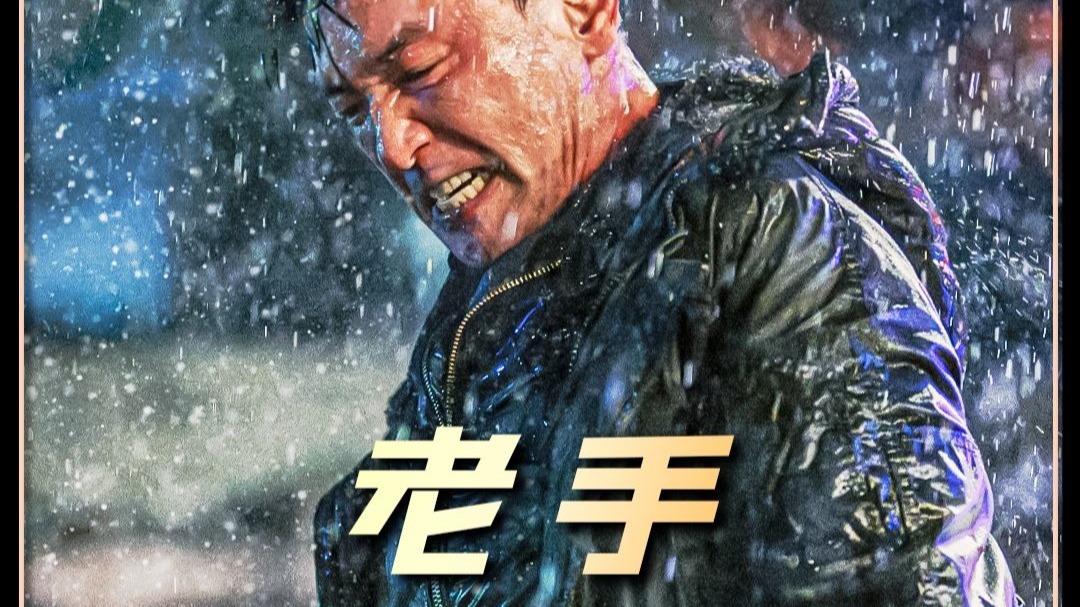《老手2》 03集 韩国的片子无论是谁拍的依旧都是这么好看
