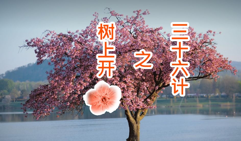 [图]三十六计还有树上开花？