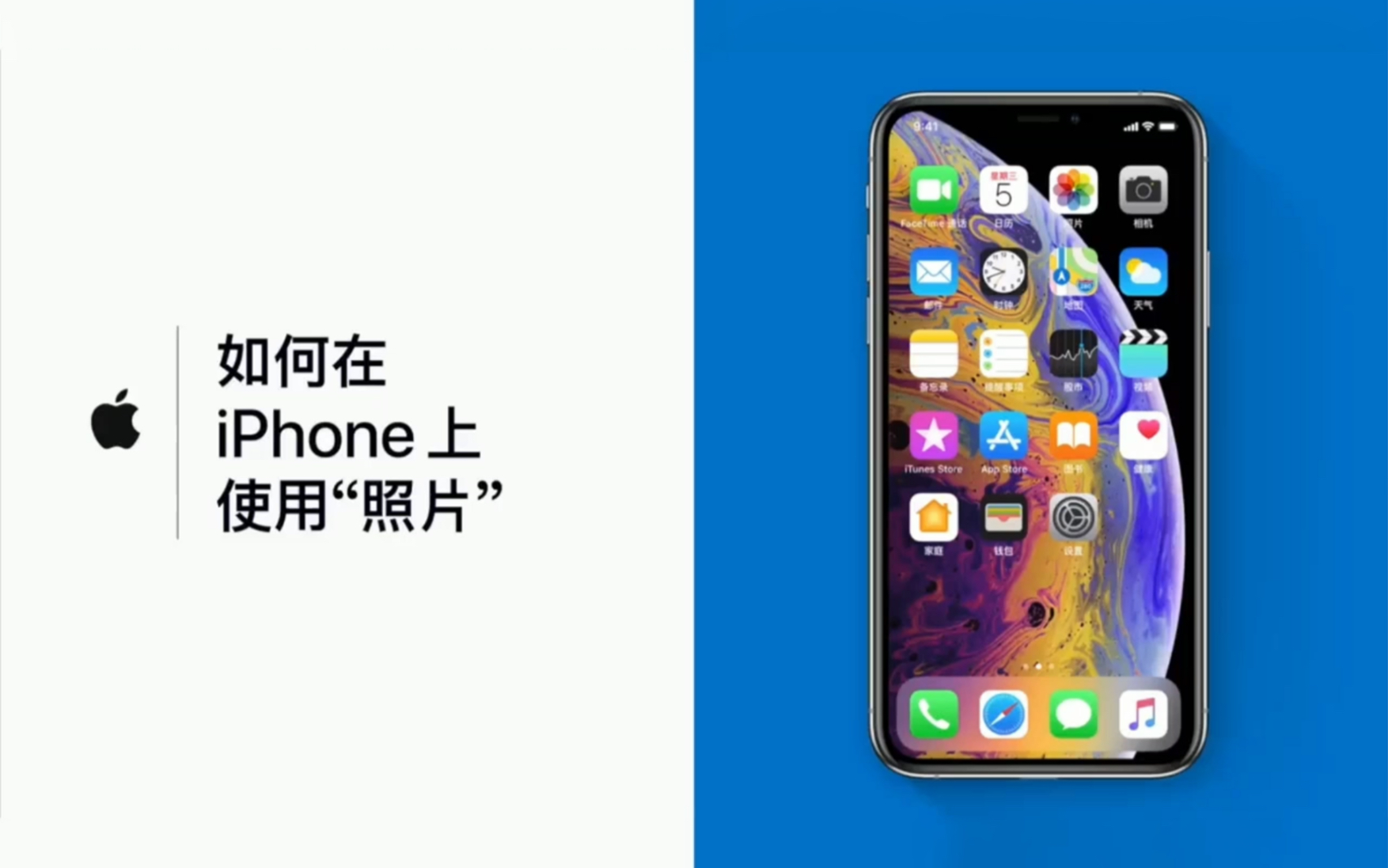 如何在 iPhone 上使用「照片」?哔哩哔哩bilibili