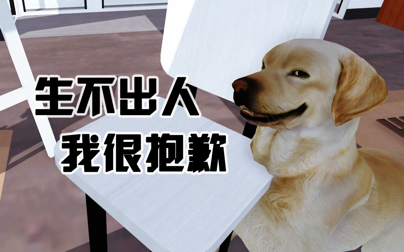 生活不易狗子跳舞出气