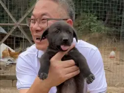 Télécharger la video: 眼前的小狗叫小黑，是山上养鸡场的守护小神