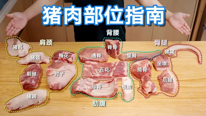 底层逻辑解构猪肉，理解各部位的区别和做法，不用死记硬背