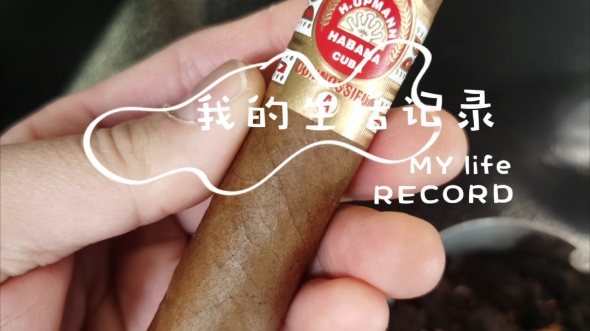 标好看,茄也非常乌普曼——品尝乌普曼鉴赏家a