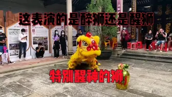 Tải video: 醉狮表演全过程，弘扬华夏优秀传统文化传承舞狮醒狮表演